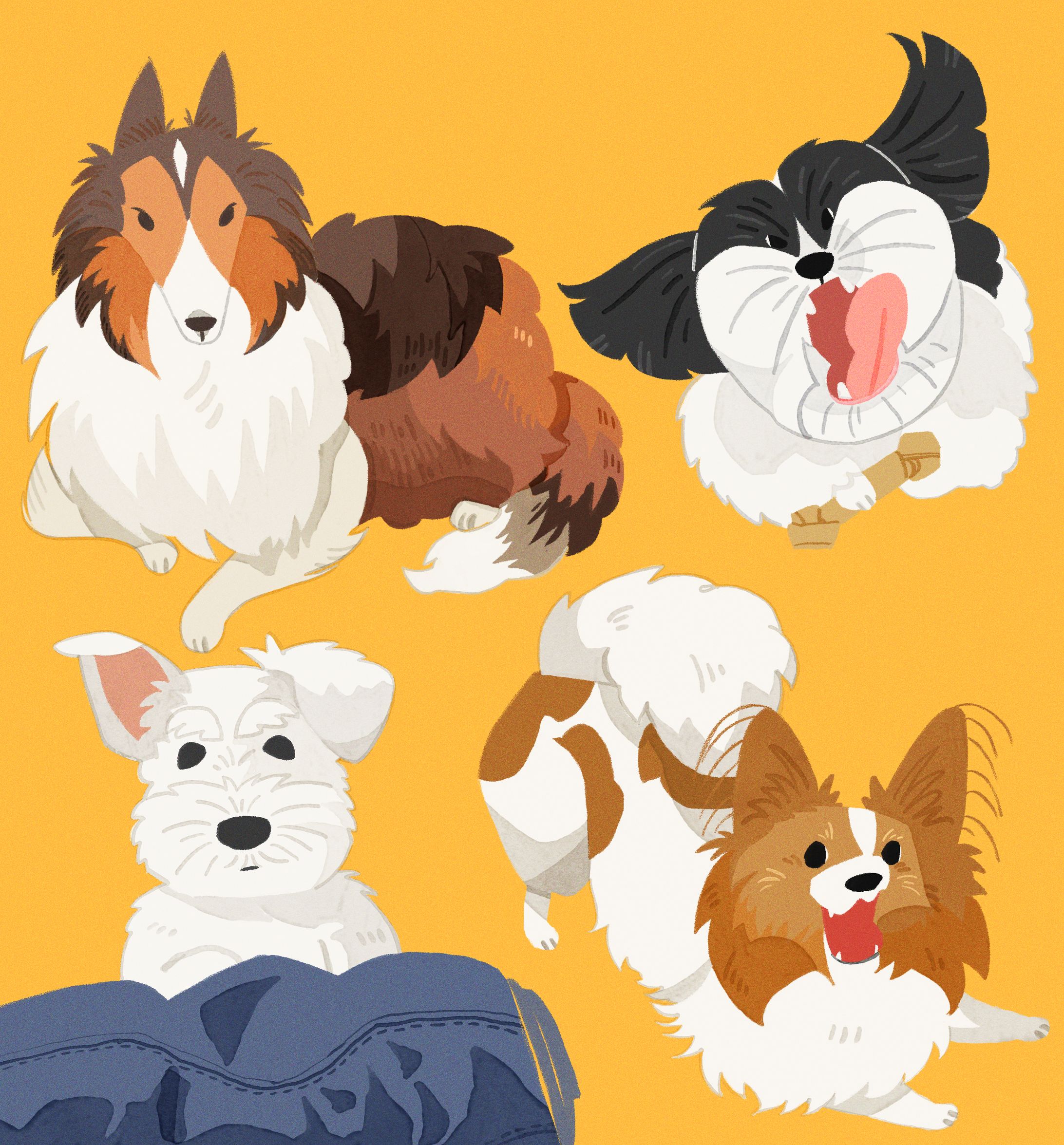 dog-1