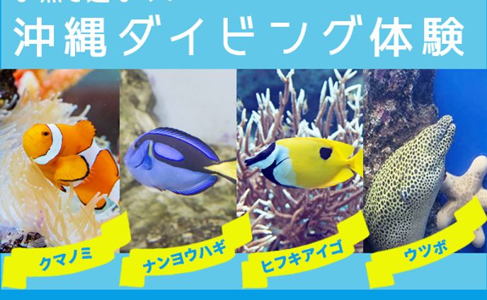 L07 2 ryuheinakayama