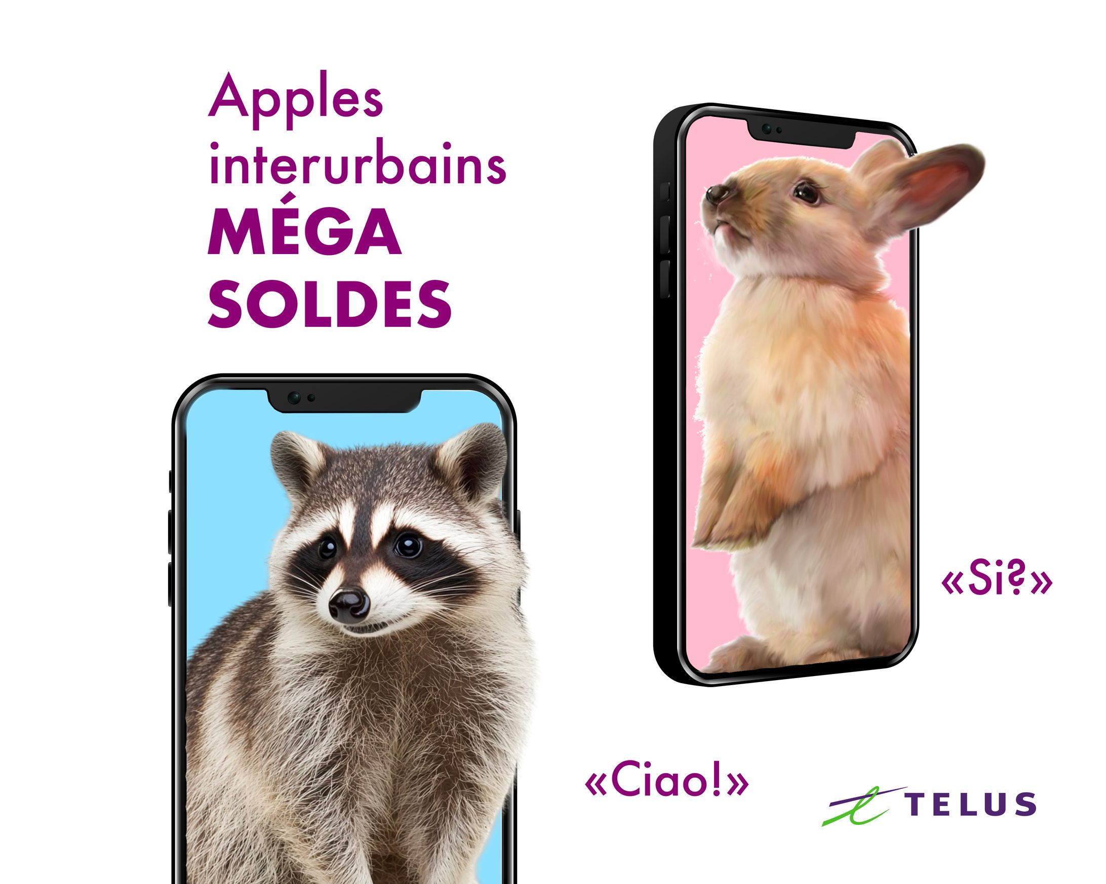 C08｜Flyer Telus-1