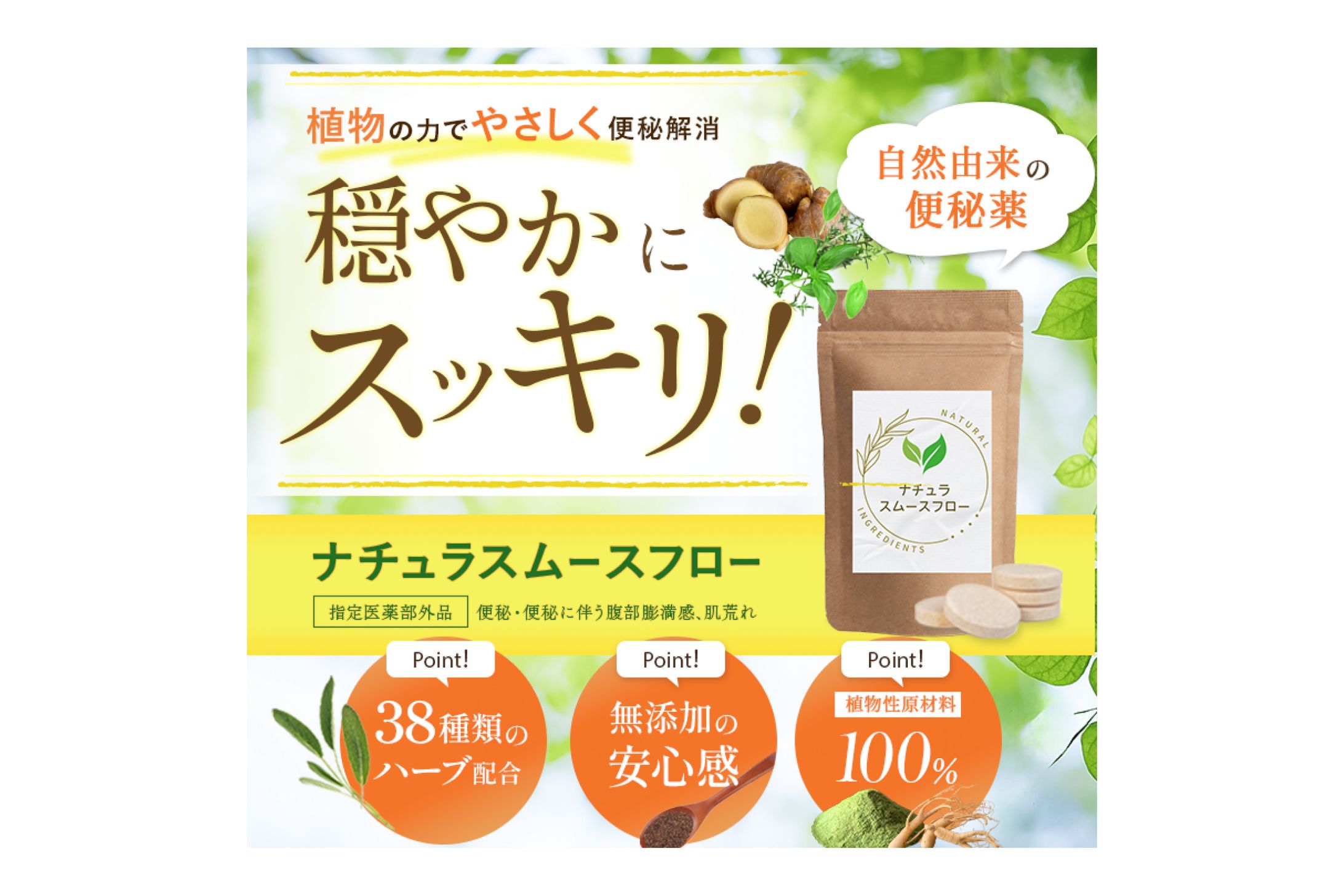 健康サプリ「ナチュラスムースフロー」のファーストビュー_案03-1