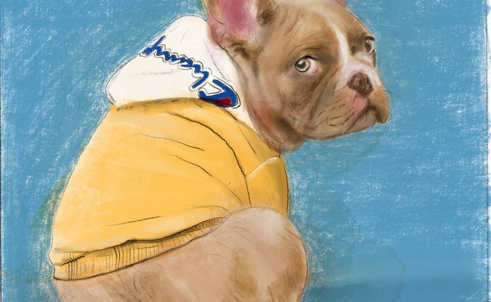 french bulldog