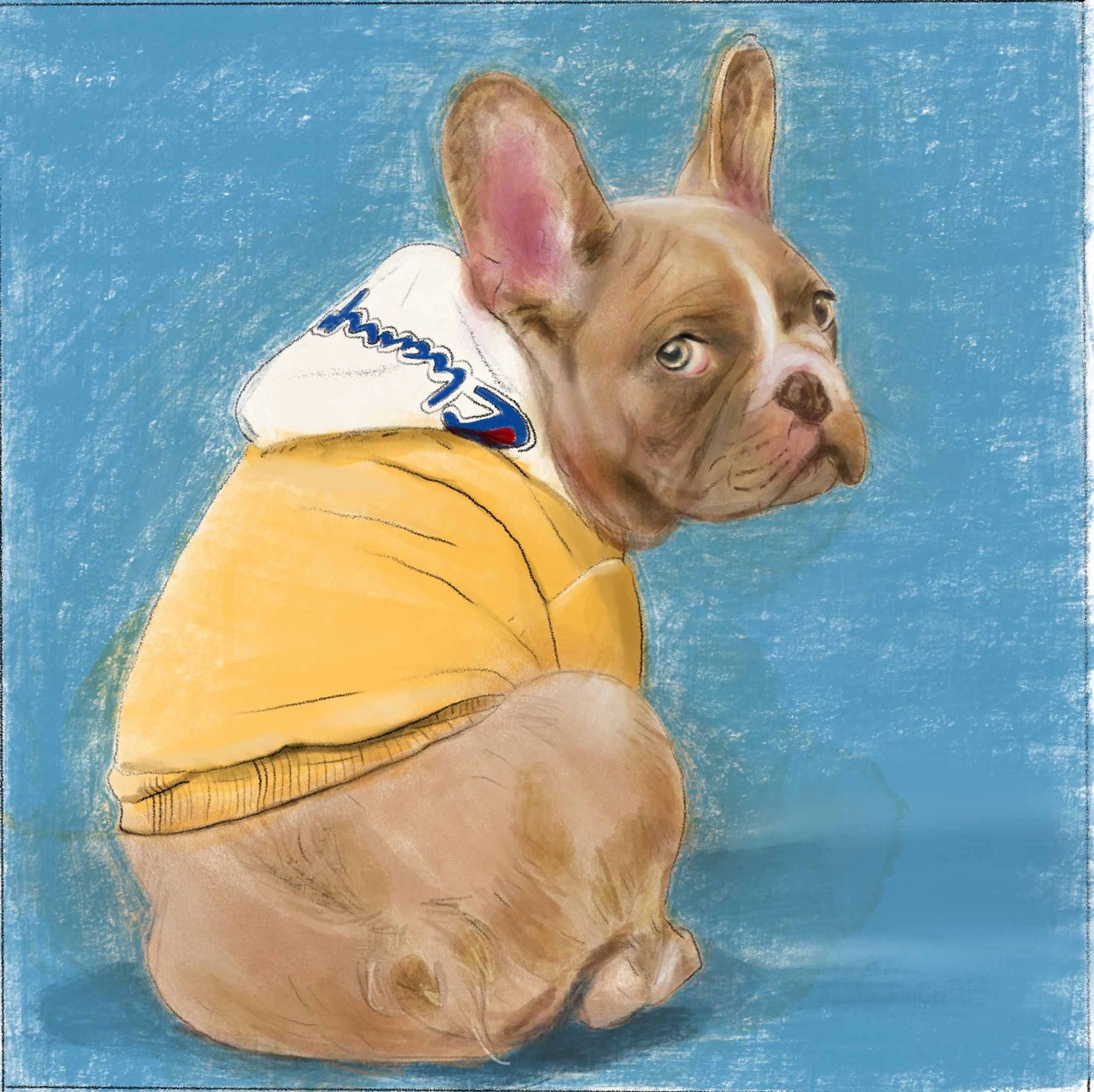 french bulldog-1