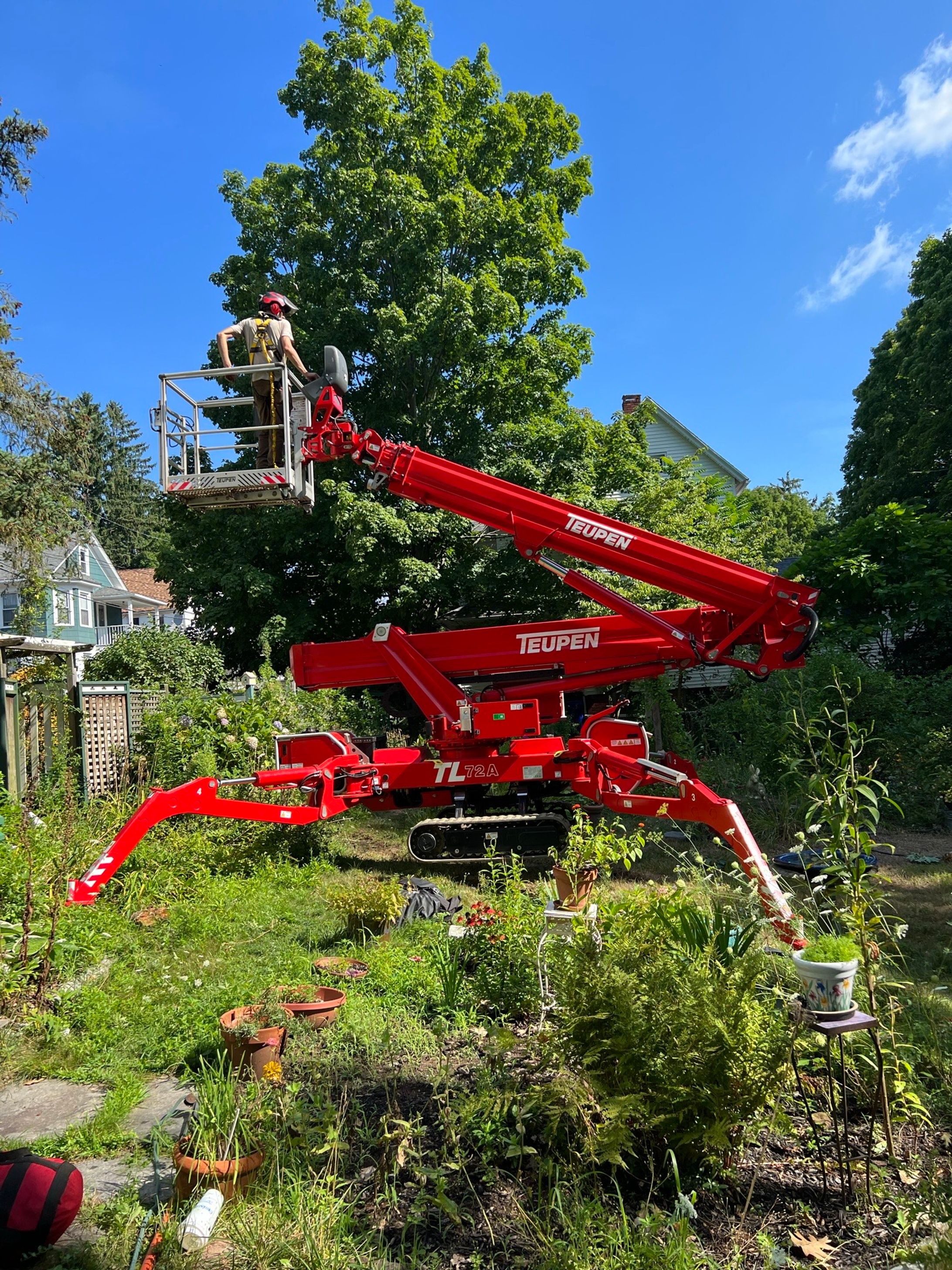Tree Pruning Near Me in Westbrook CT | Expert Arborists-1