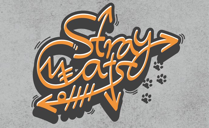 作字「StrayCats」