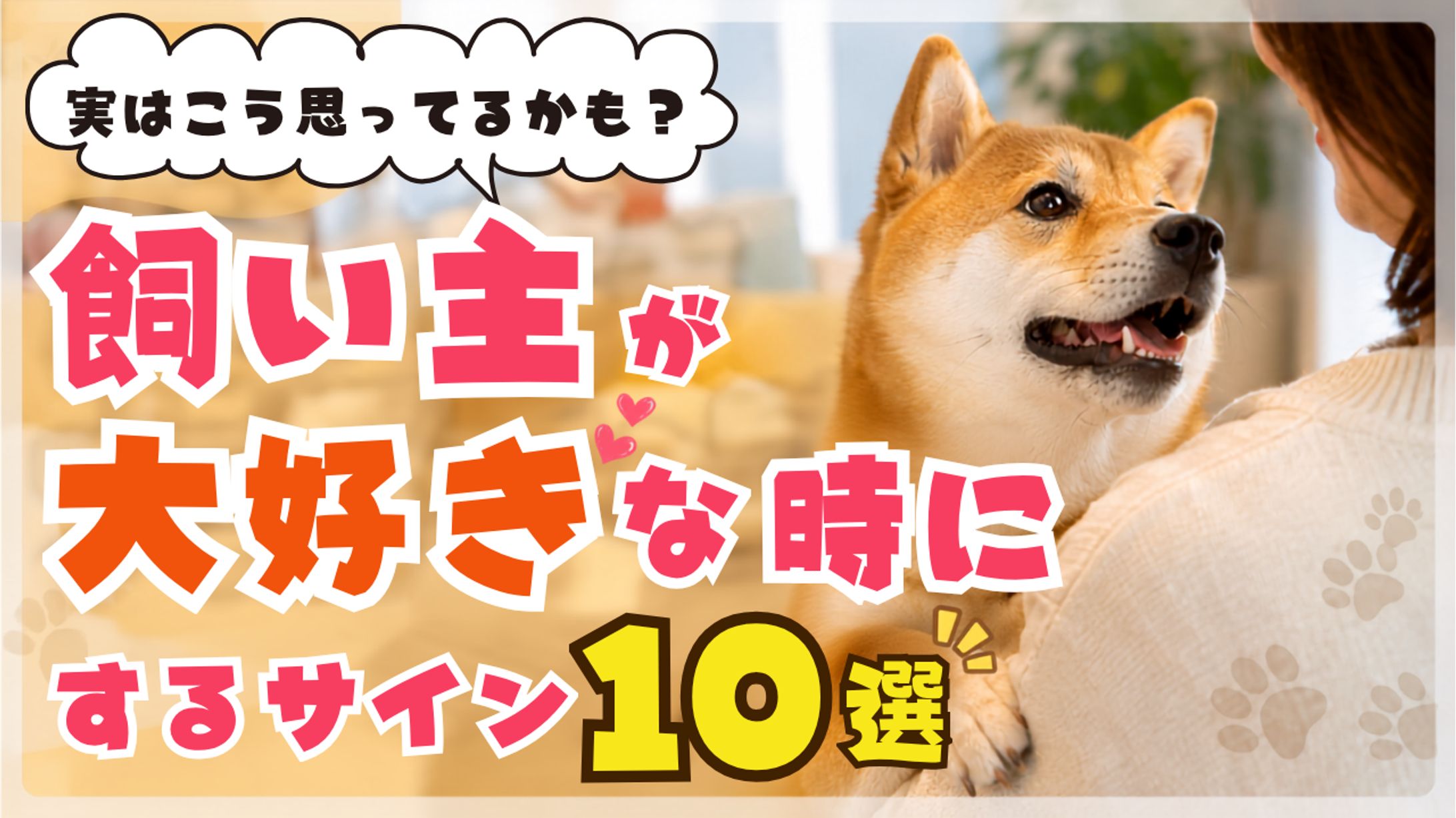 YouTubeサムネイル　ペット-1
