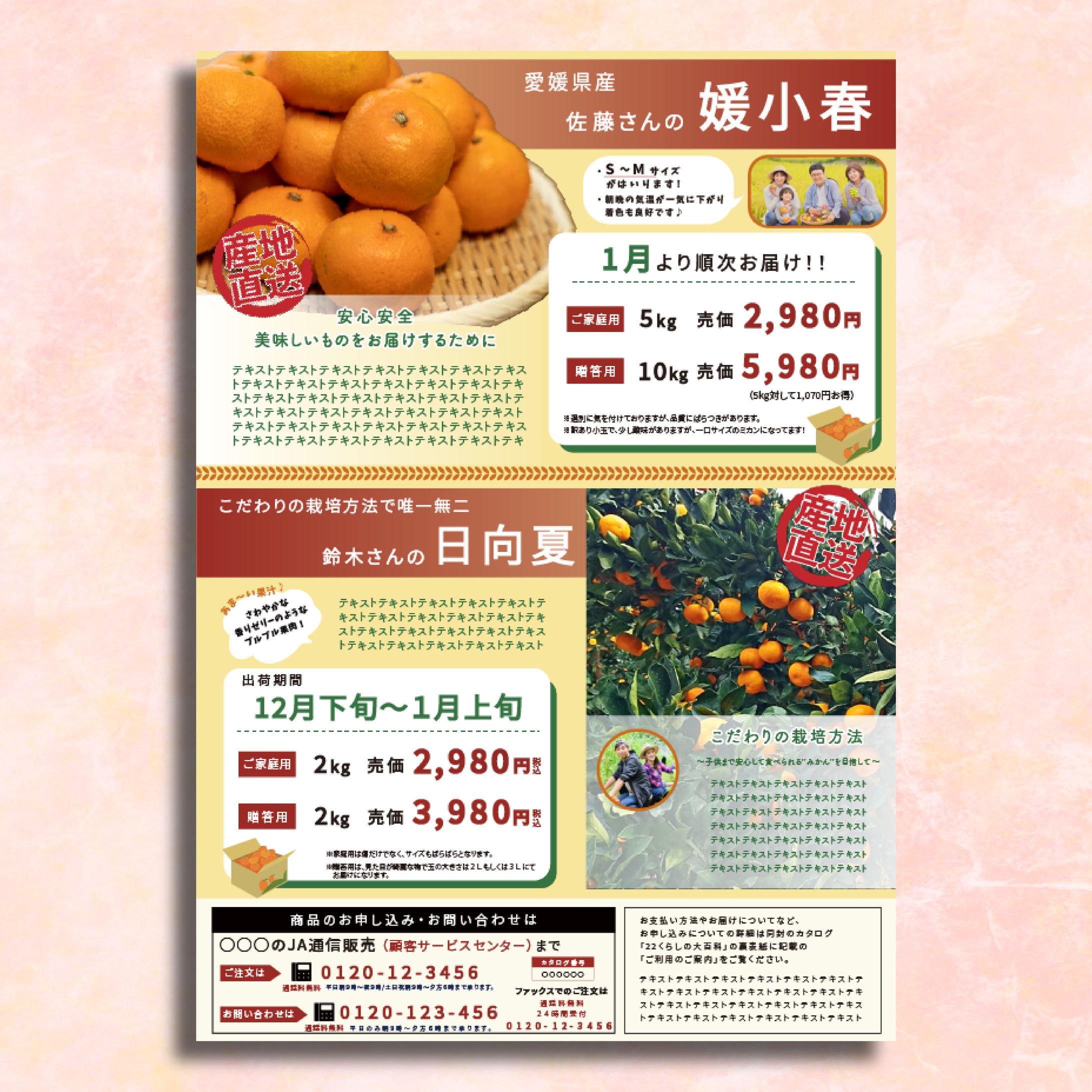 通信販売のチラシ-1