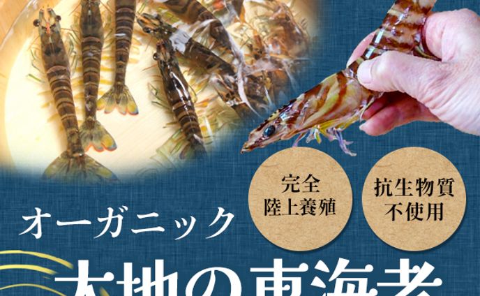 歌サムネ、フォトグラファー