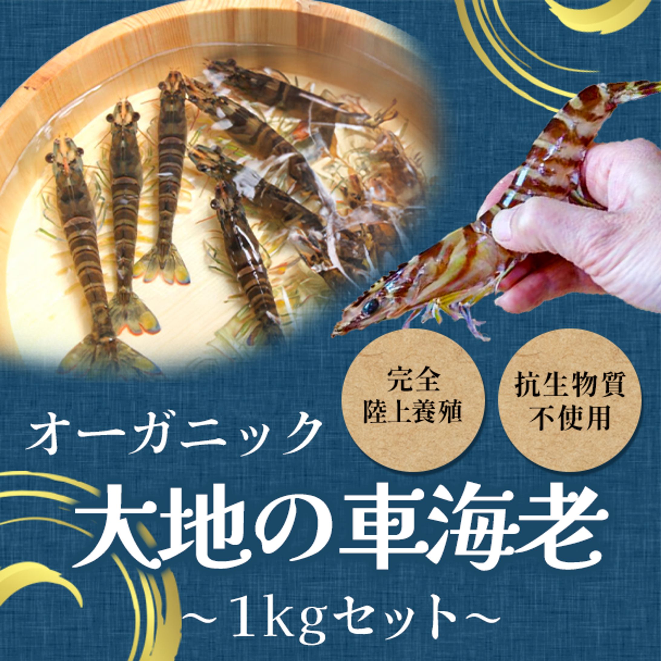 Y様クラファンサムネ-1