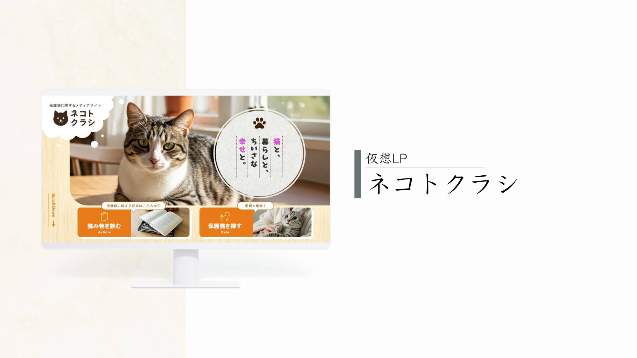 ネコトクラシ / 仮想LP-1