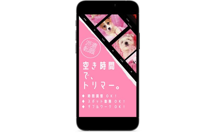 トリマー求人サイトのストーリーズ広告①