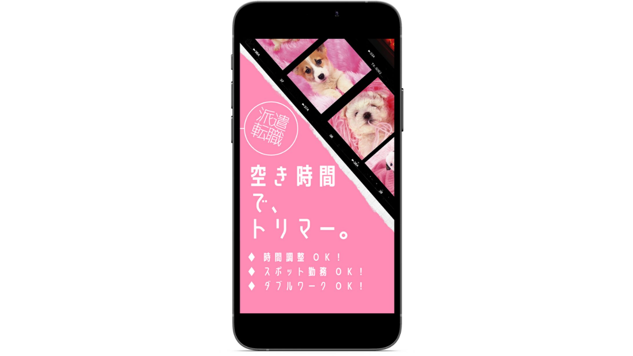 トリマー求人サイトのストーリーズ広告①-1