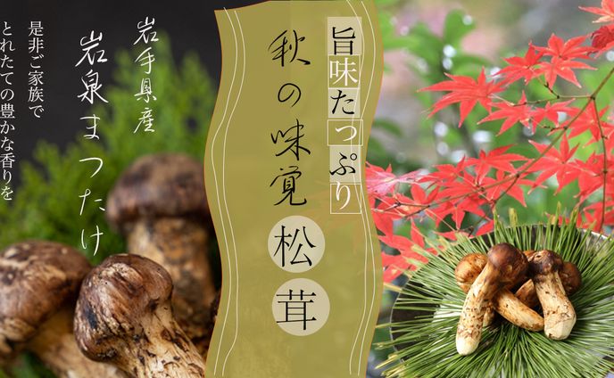 訴求、歌ってみたmv