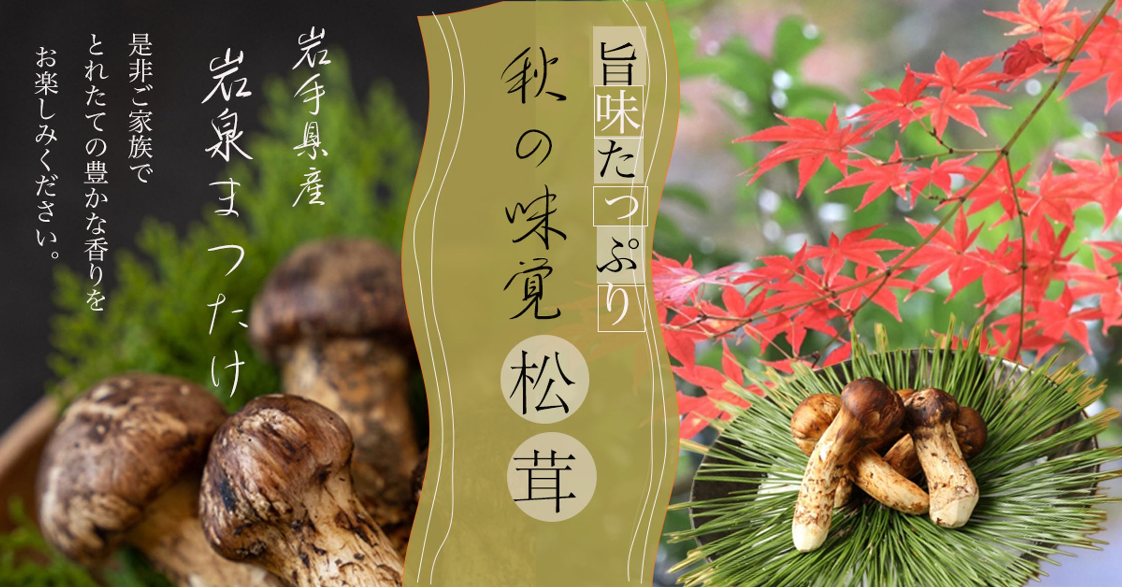 秋の味覚（松茸訴求）-1