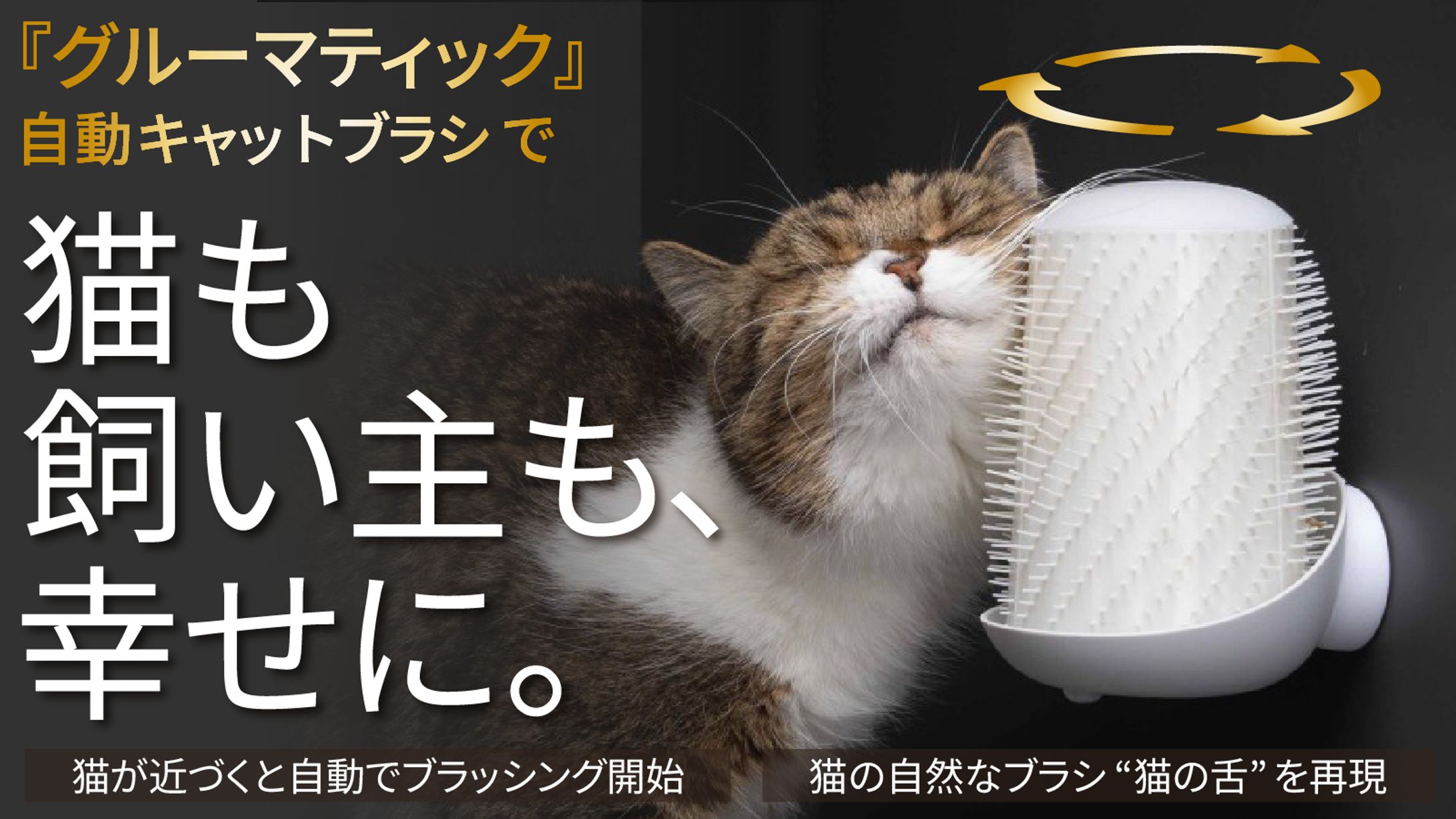 自動キャットブラシのバナー-1