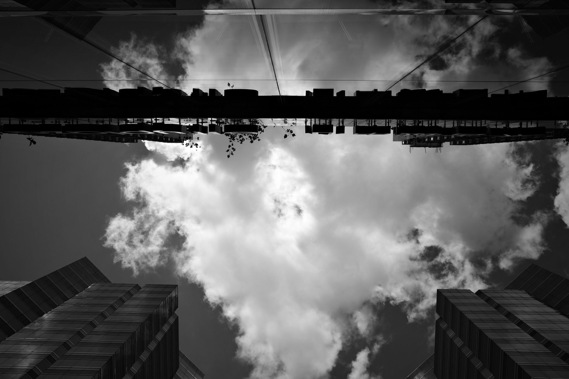 reflection-1