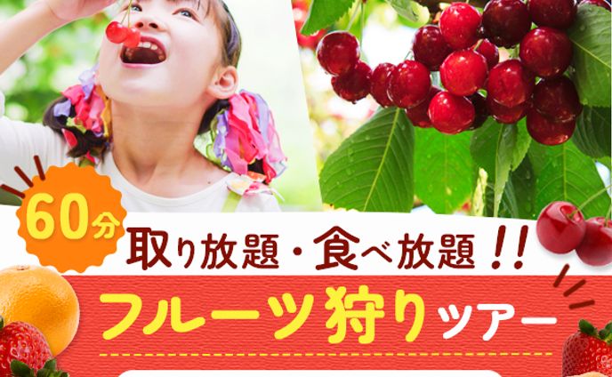 バナー：フルーツ狩りツアー