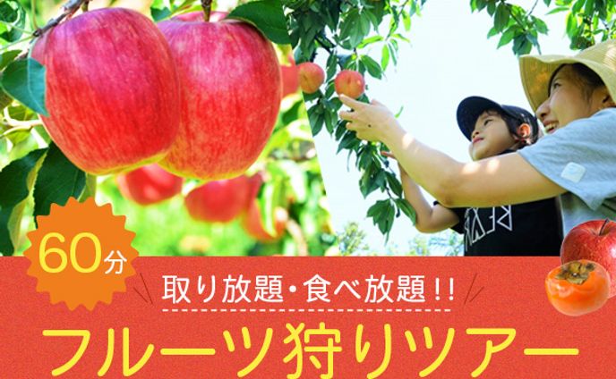 バナー：フルーツ狩りツアー