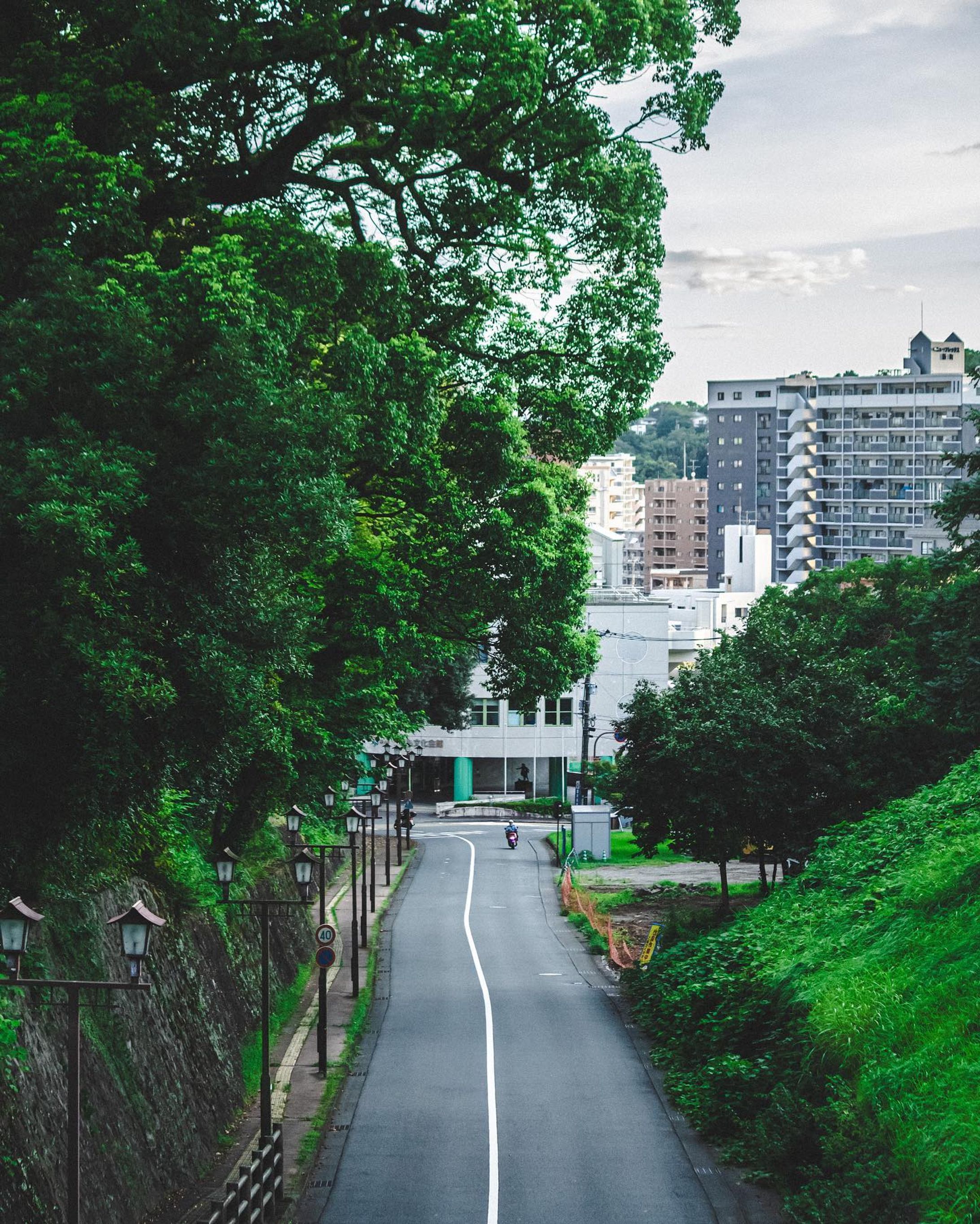 .
夏の道🌿
.
.
(at. #熊本市中央区)
.
 #入道雲
#streetsnap #japan_daytime_view
#streetphotography #streetshootjapan #urbanandstreet #streetclassics #streetactivity #street_photo_daily
#street_incity #streetview #streetleaks #streetlife #streetartjaponism #best_moments_street #japancityblues 
#路地裏 #スナップ写真
#ファインダー越しの私の世界 #写真好きな人と繋がりたい
#熊本 #Kumamoto-1