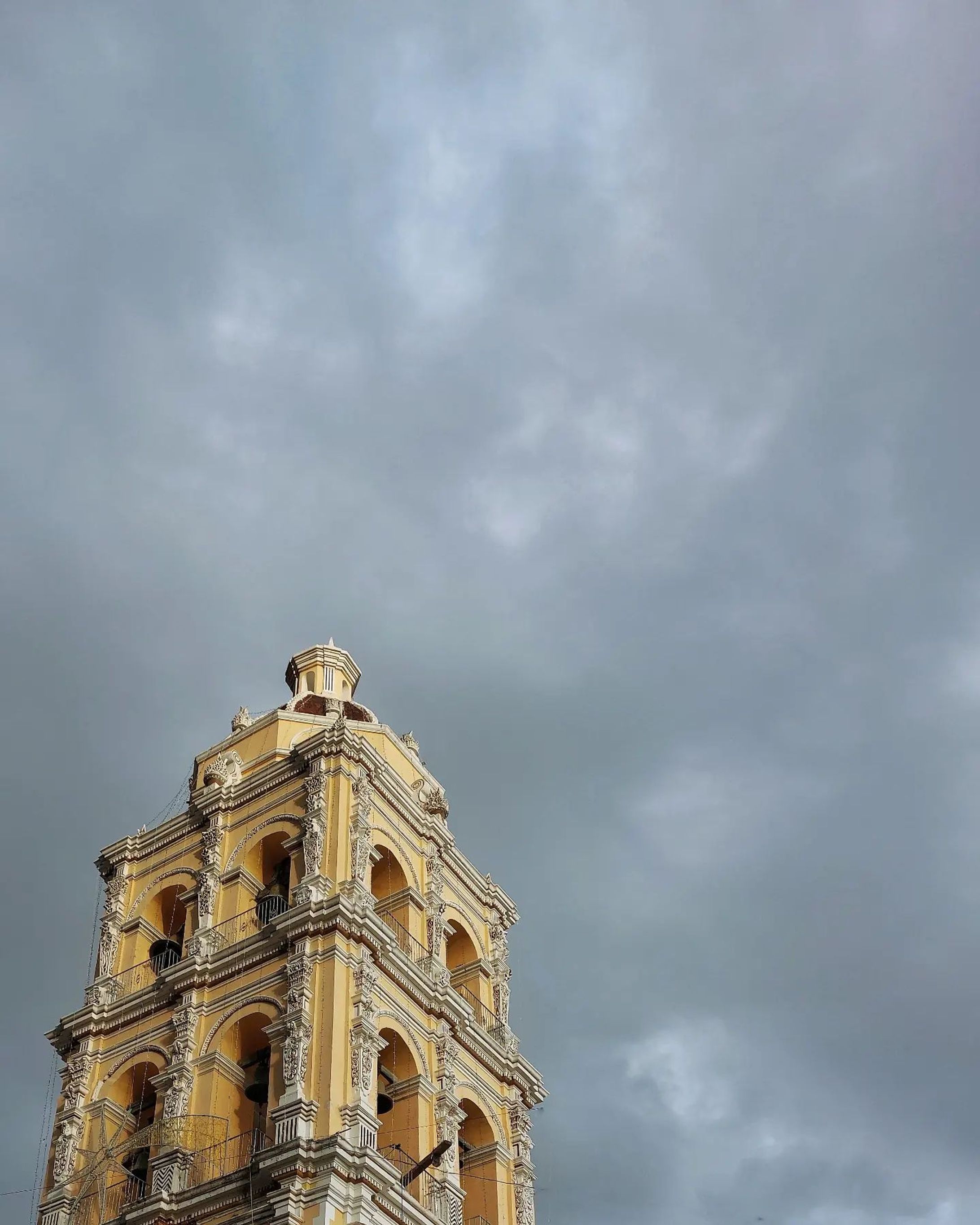 Gris #photography-1
