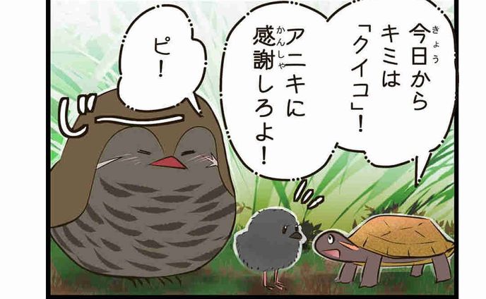 イラストレーター　漫画家、自然