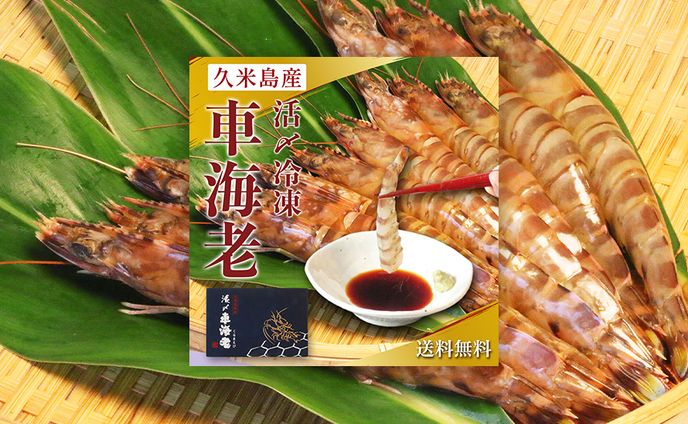 【EC商品バナー】久米島産車海老