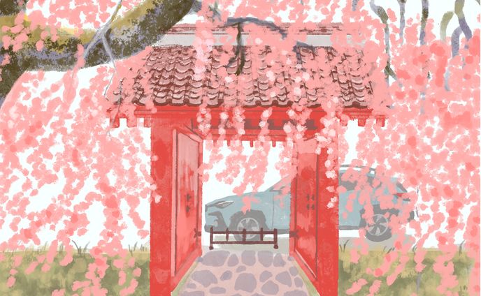 神社にあるしだれ桜と愛車