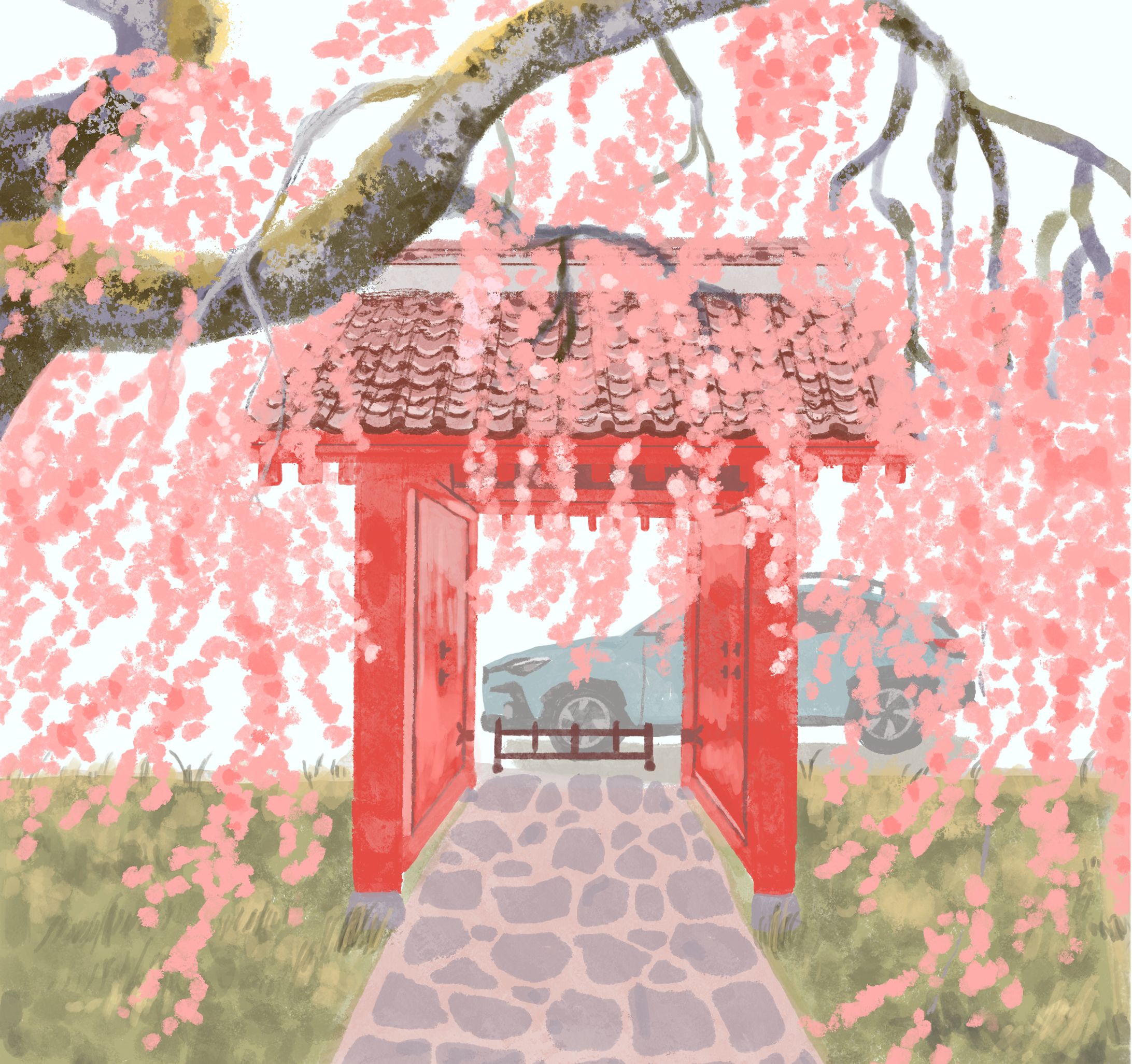 神社にあるしだれ桜と愛車-1