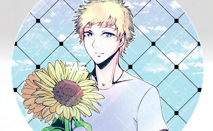 少年、柏レイソル