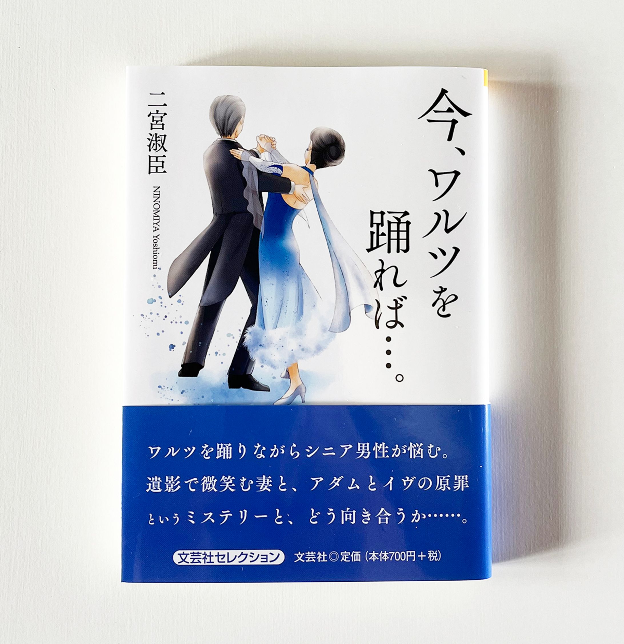 【仕事絵】小説「今、ワルツを踊れば・・・。」表紙イラスト-1