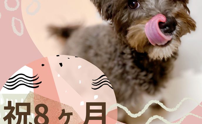 インスタバナー