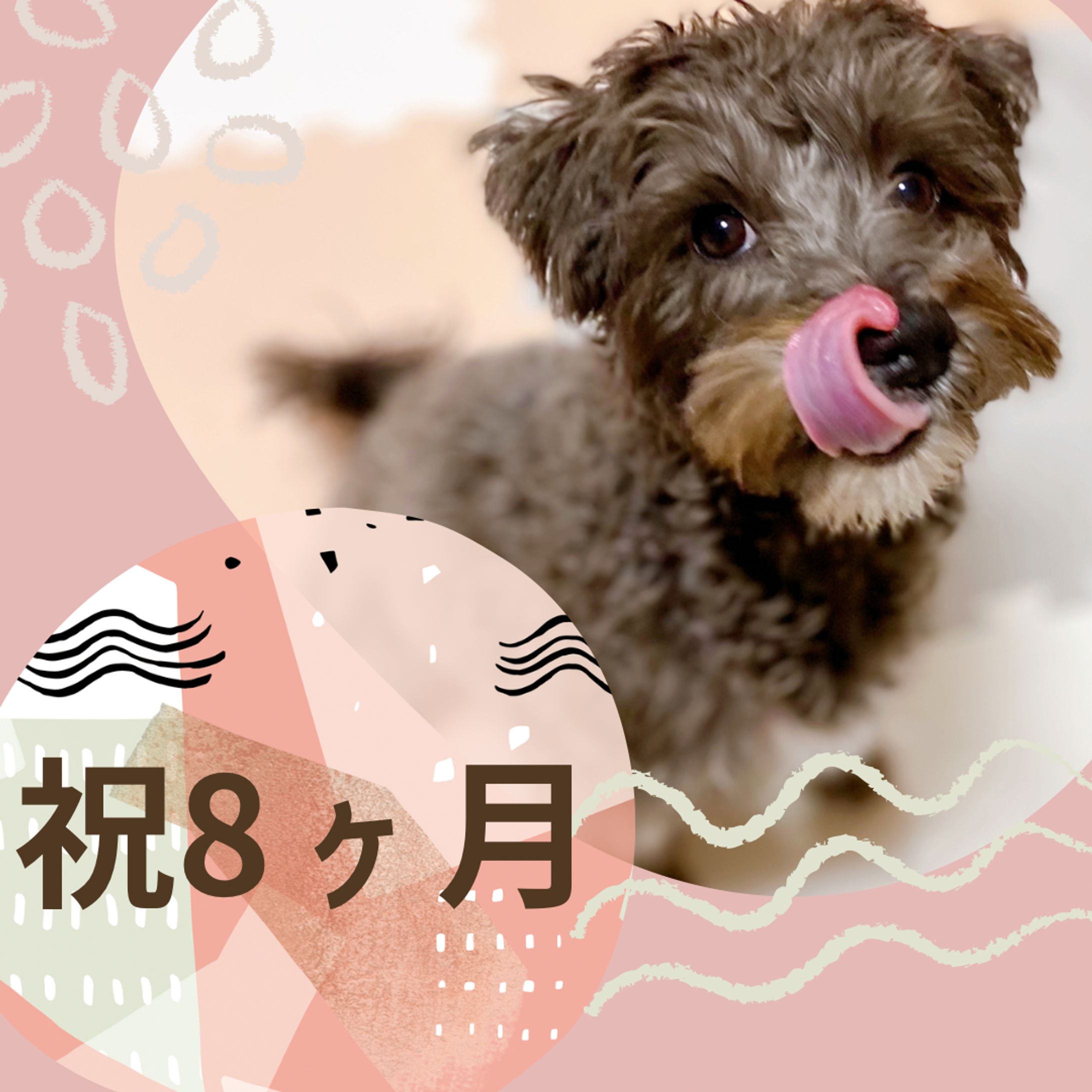 インスタバナー-1