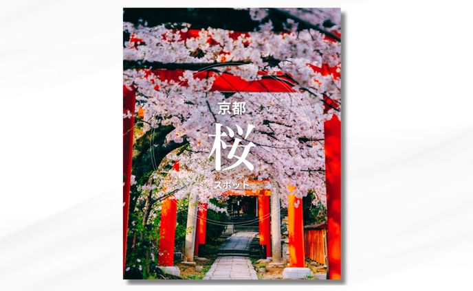 ［Instagram］京都桜スポット