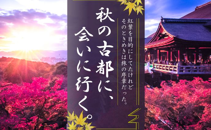 観光 バナー