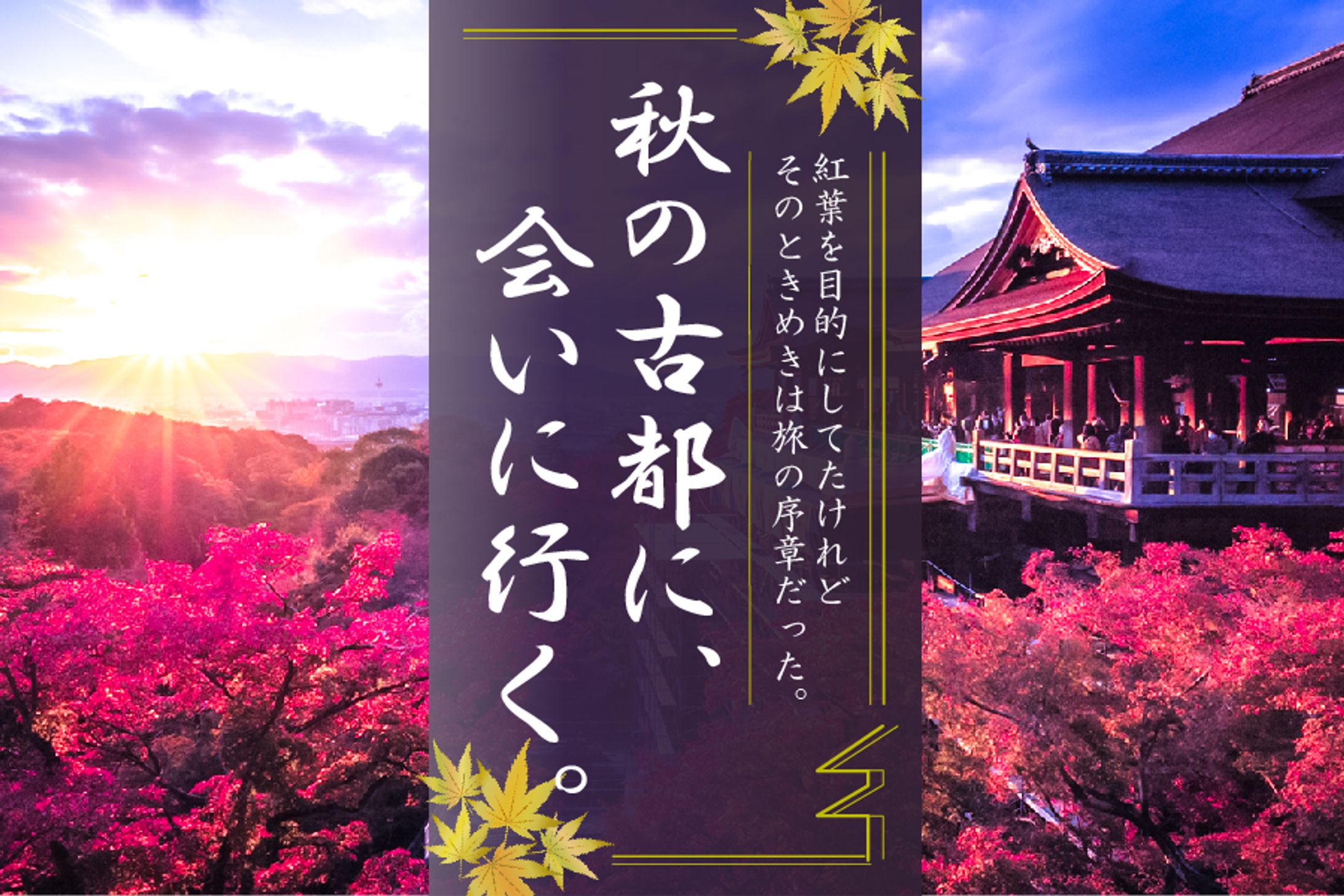 観光 バナー-1