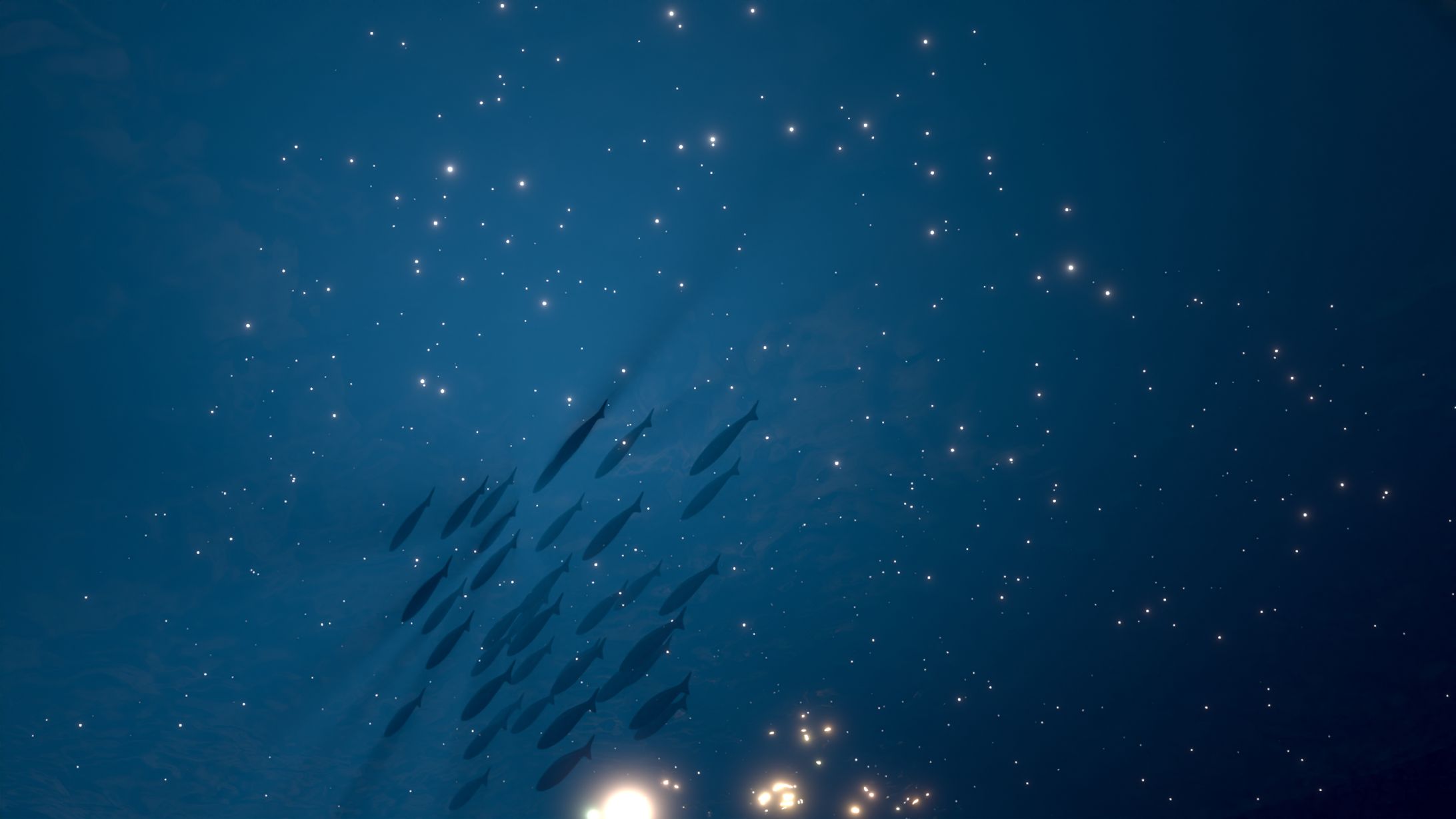 Baitball-1