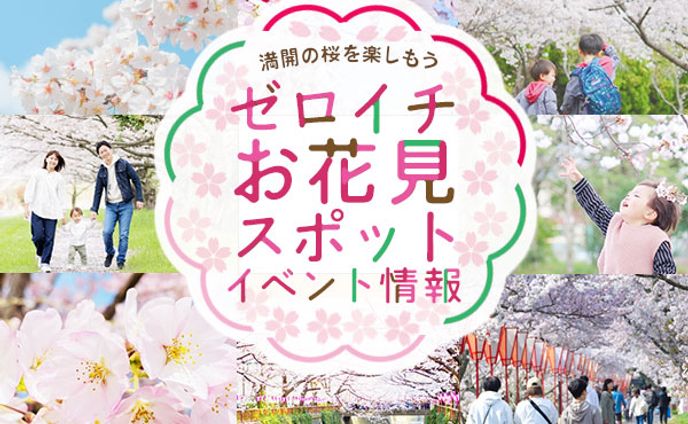 バナー／お花見