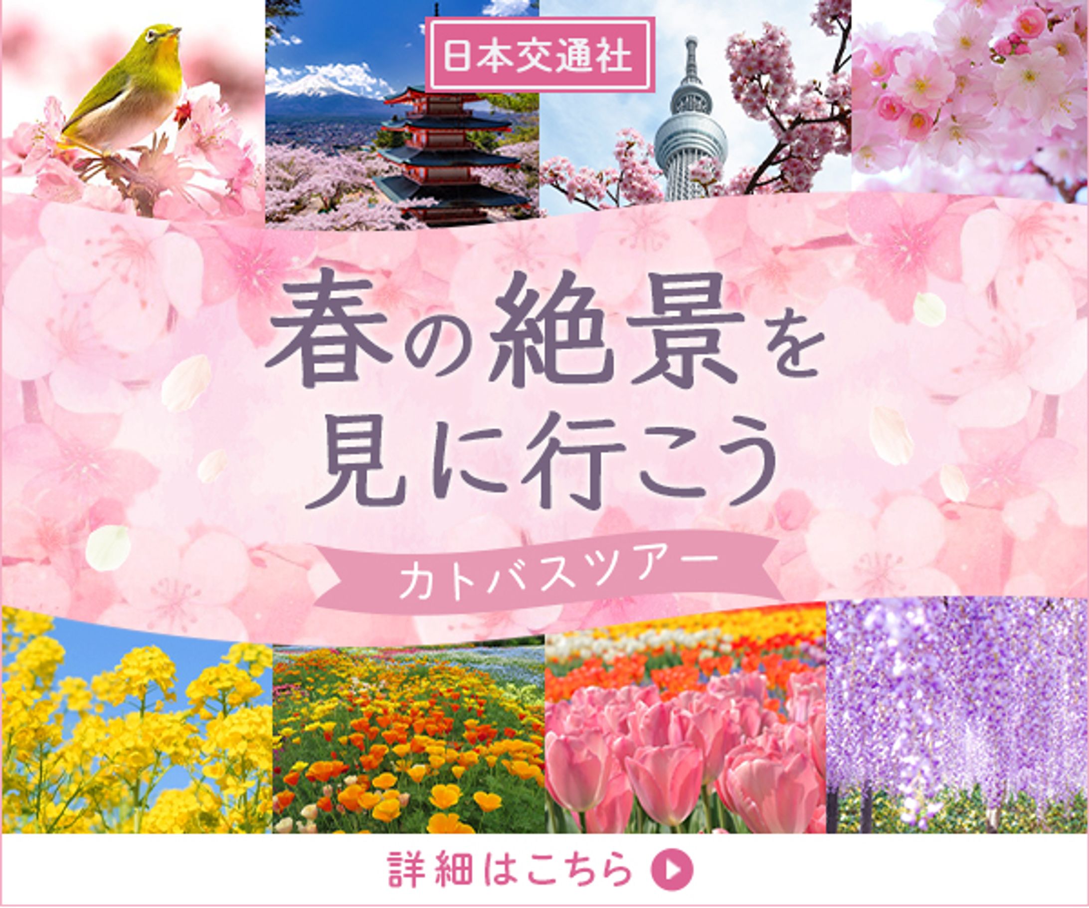 バナー：バスツアー-1