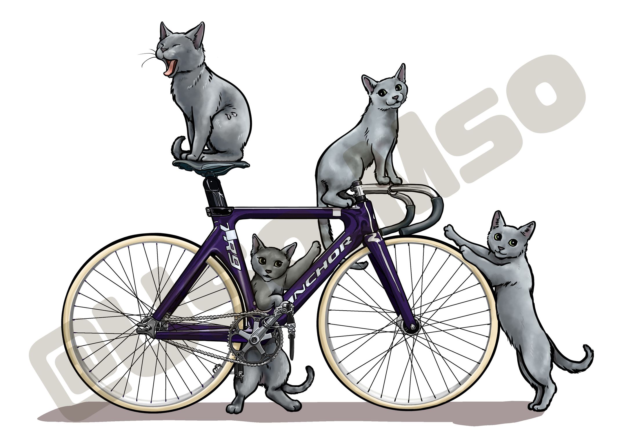 自転車とロシアンブルー-1