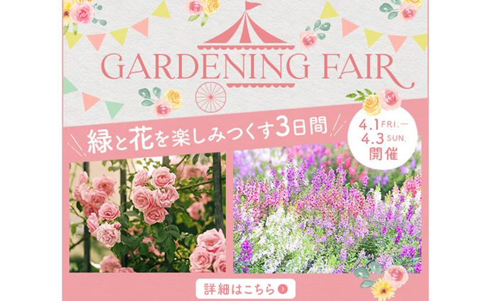 フェアバナー(600×500)