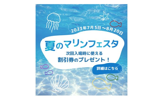 【バナー】SeaDreams様　イベント