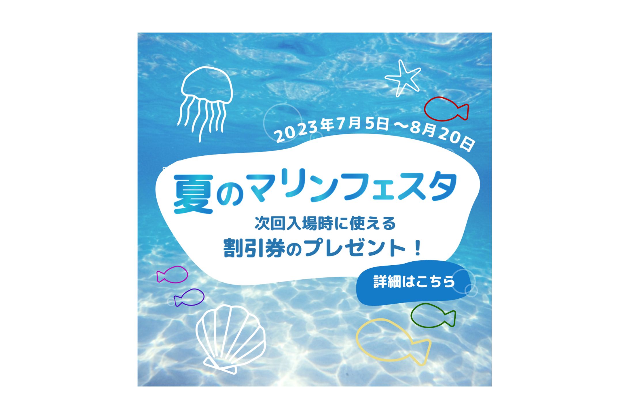【バナー】SeaDreams様　イベント-1