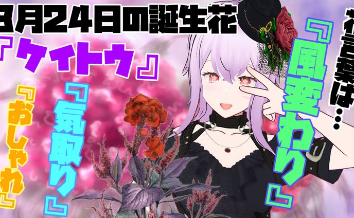 8月24日