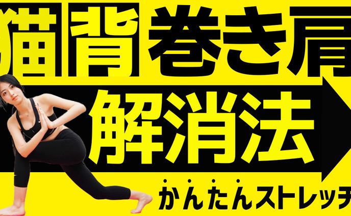運動系　サンプル