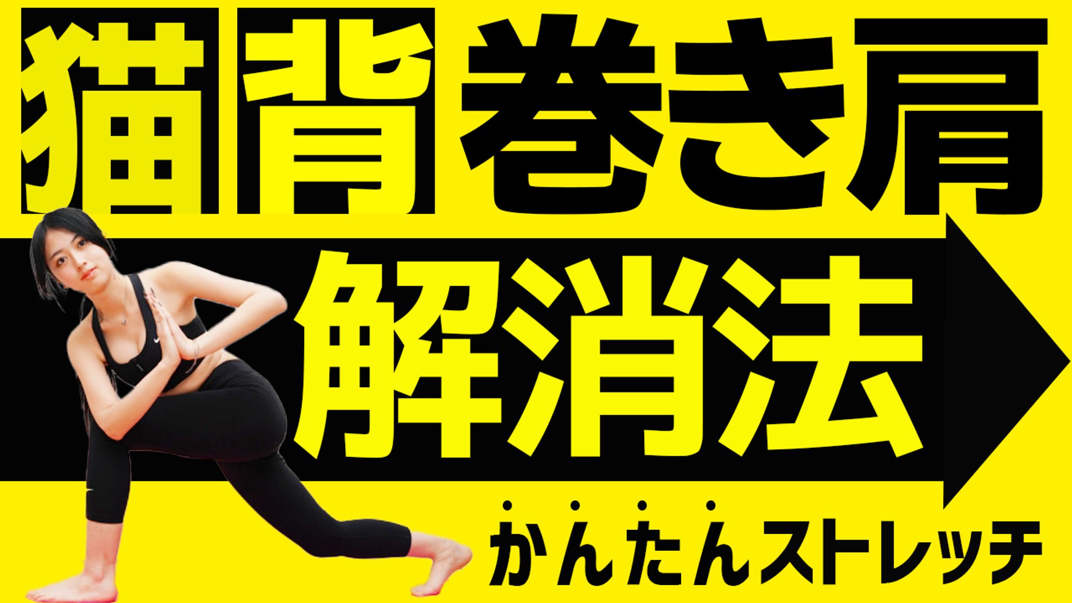 運動系　サンプル-1