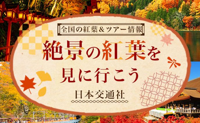 紅葉&ツアー広告バナー（架空案件）