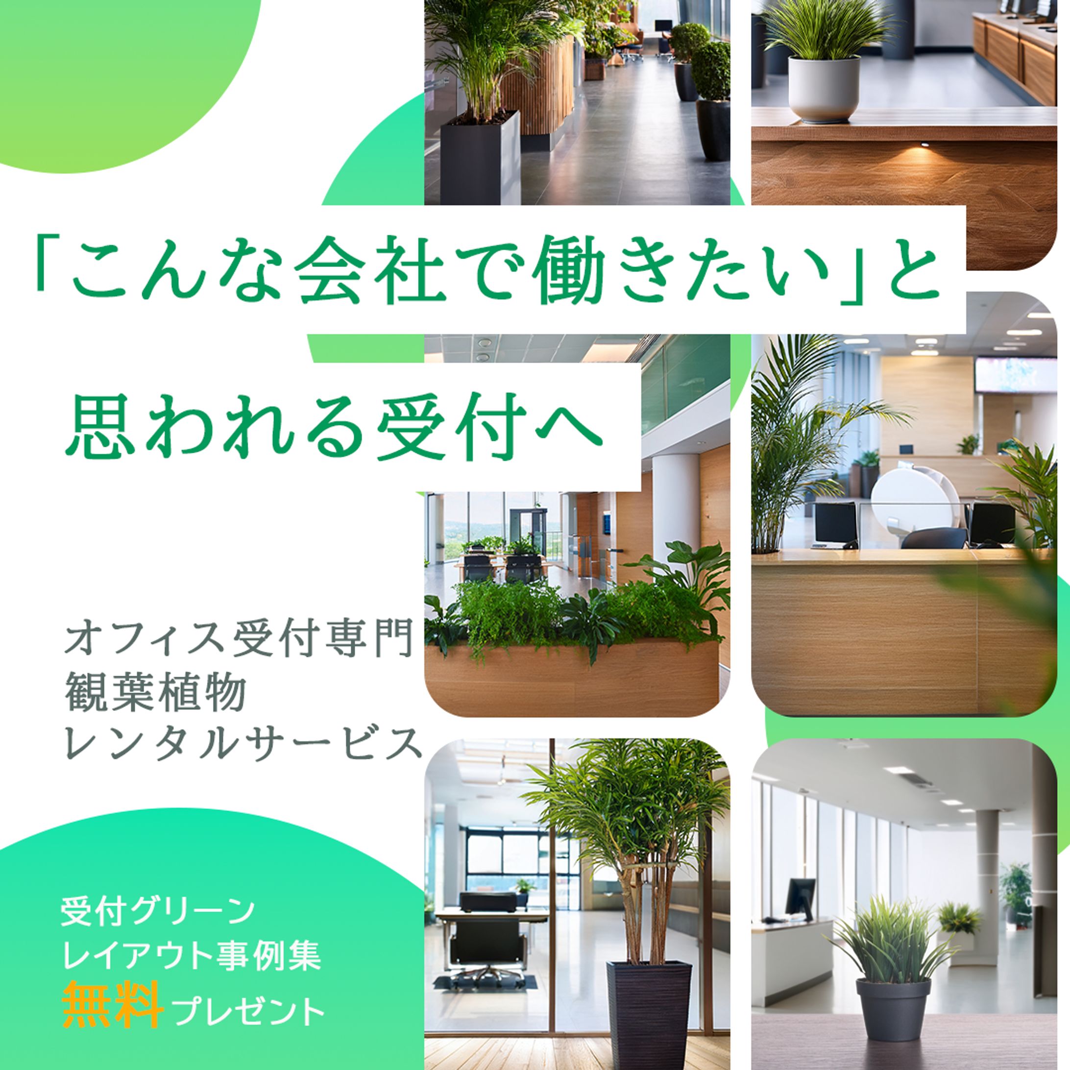 観葉植物レンタルサービス広告バナー-1