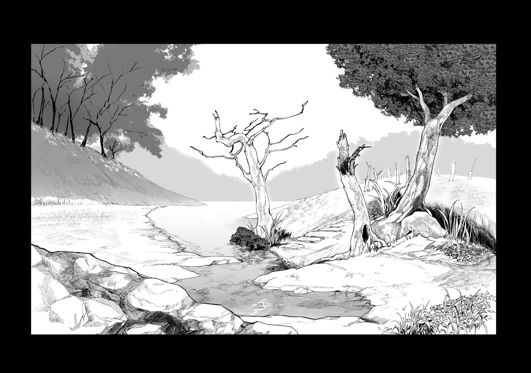 自然物-1