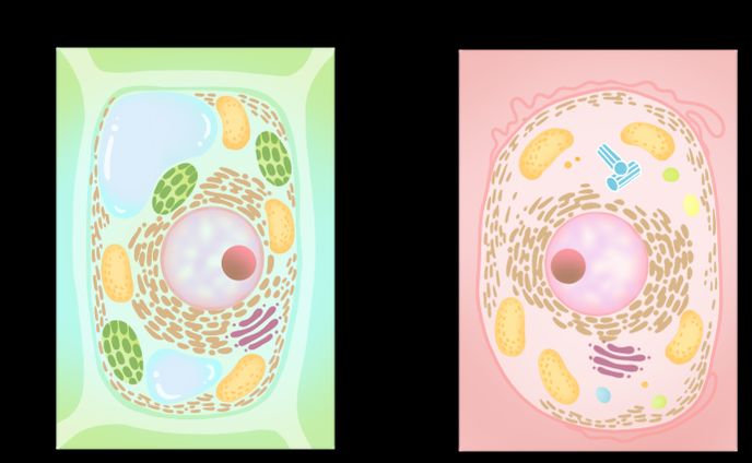 教材用の図、説明イラスト