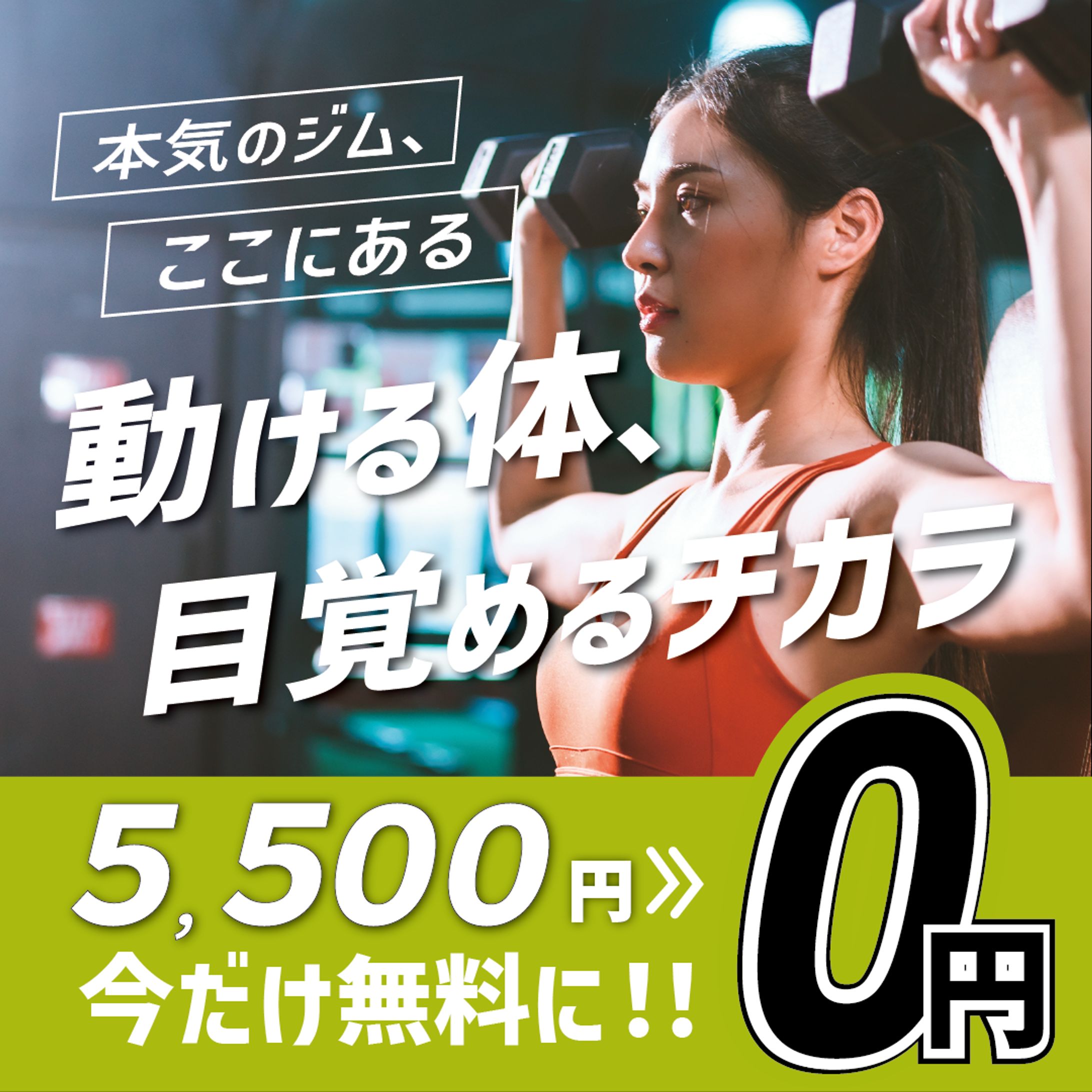 ジムバナー-1