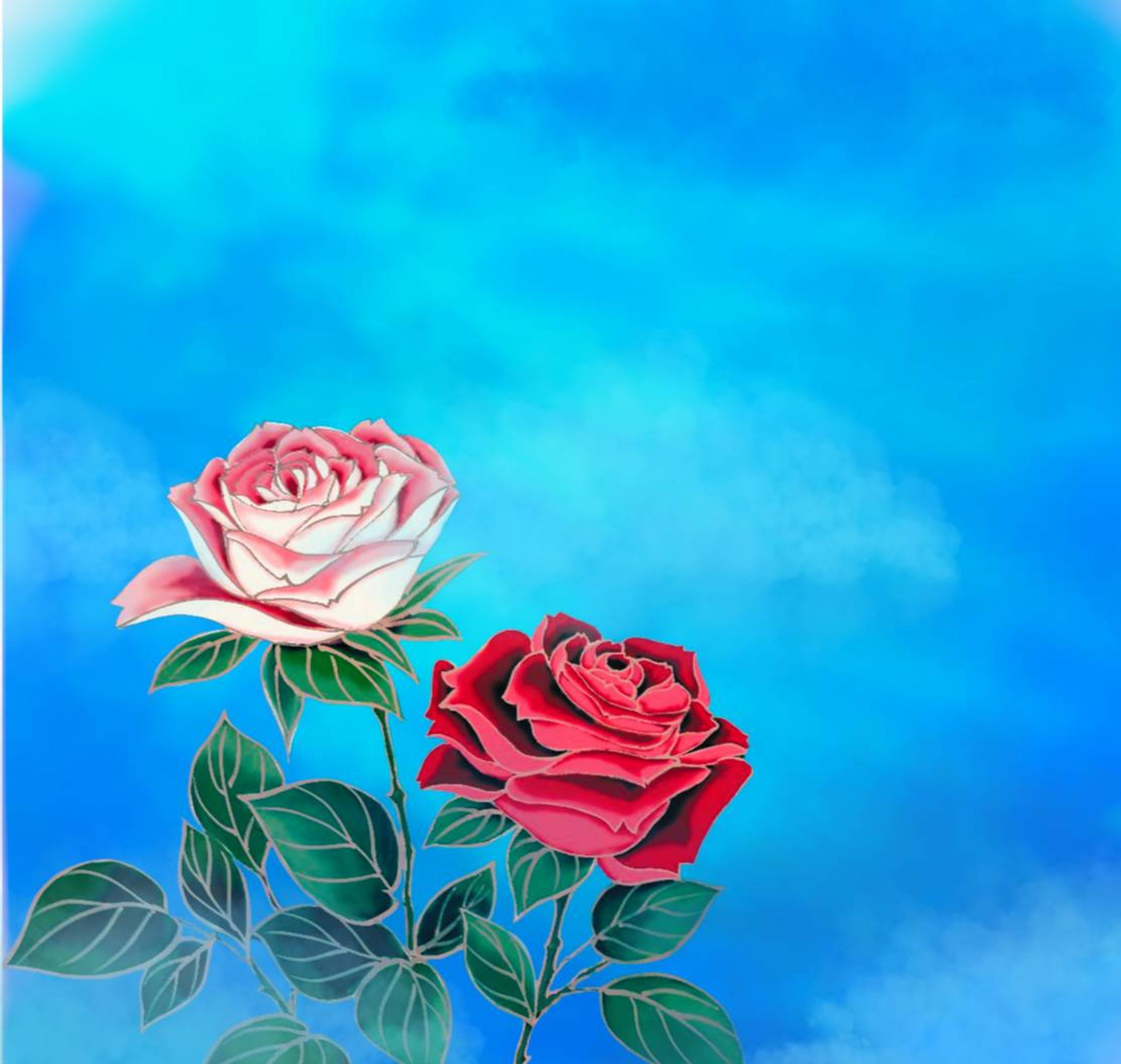 薔薇-1